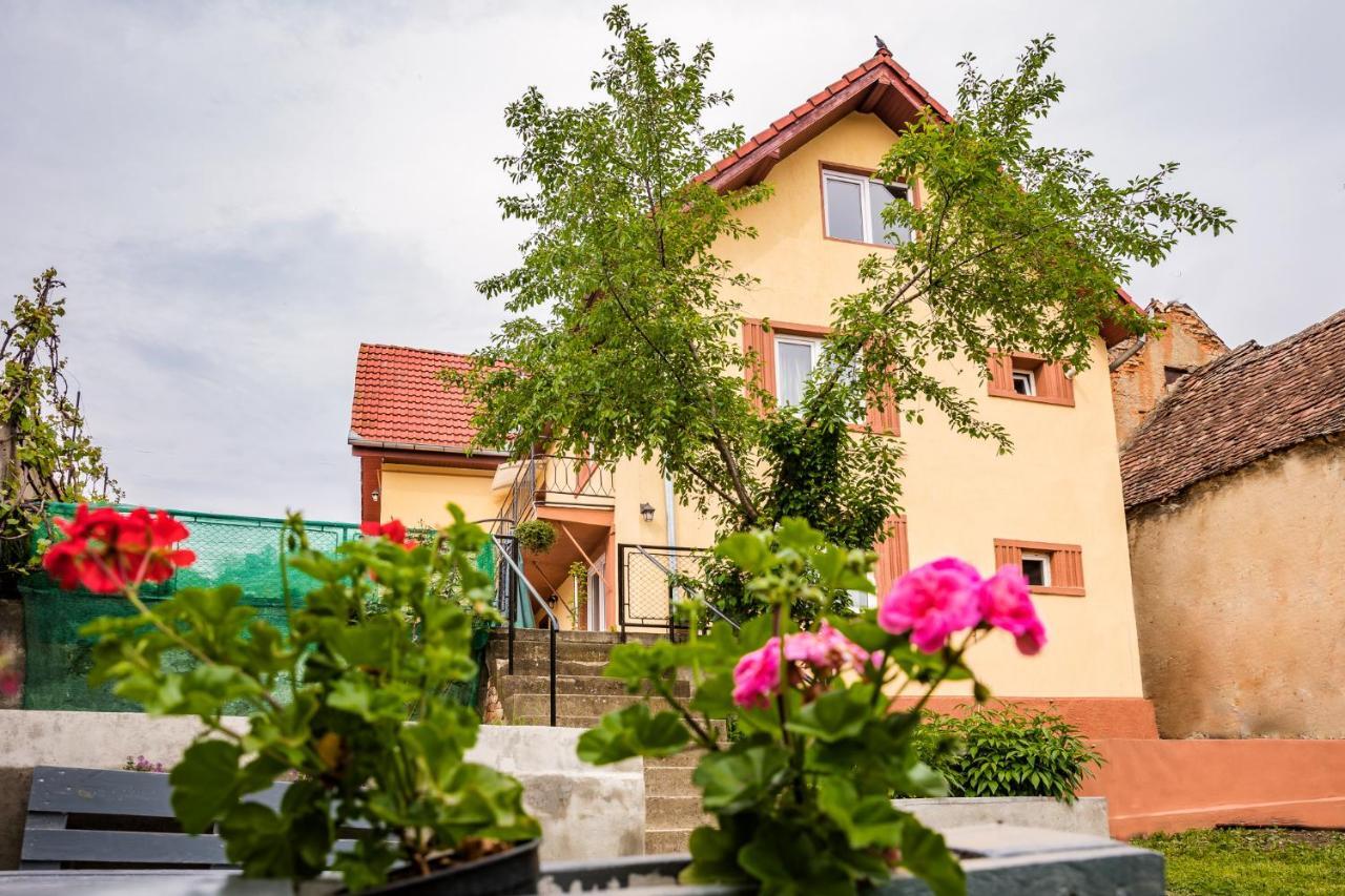 Gabi'S Home #1 Segesvár Kültér fotó